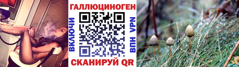 цена наркотик  Верея  Псилоцибиновые грибы прущие грибы 